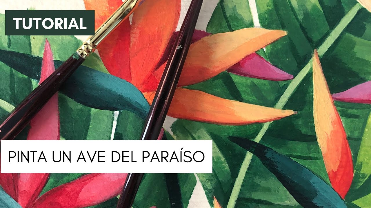 CÓMO PINTAR UN AVE DEL PARAÍSO