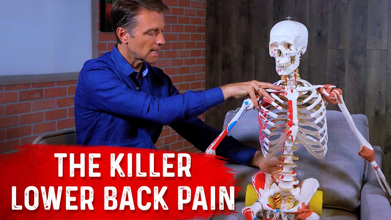 Best Sitting Tips for Lower Back Pain Relief &ndash; Dr. Berg