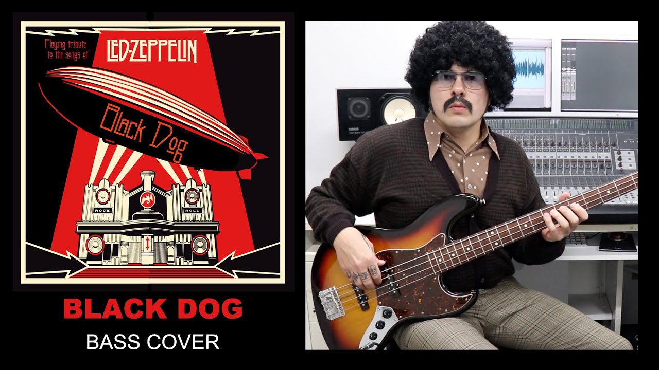 Black Dog - Led Zeppelin (Bass Cover)