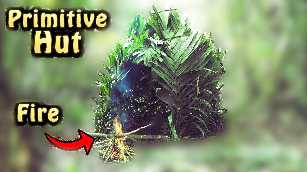 Building A Primitive Hut In The Jungle