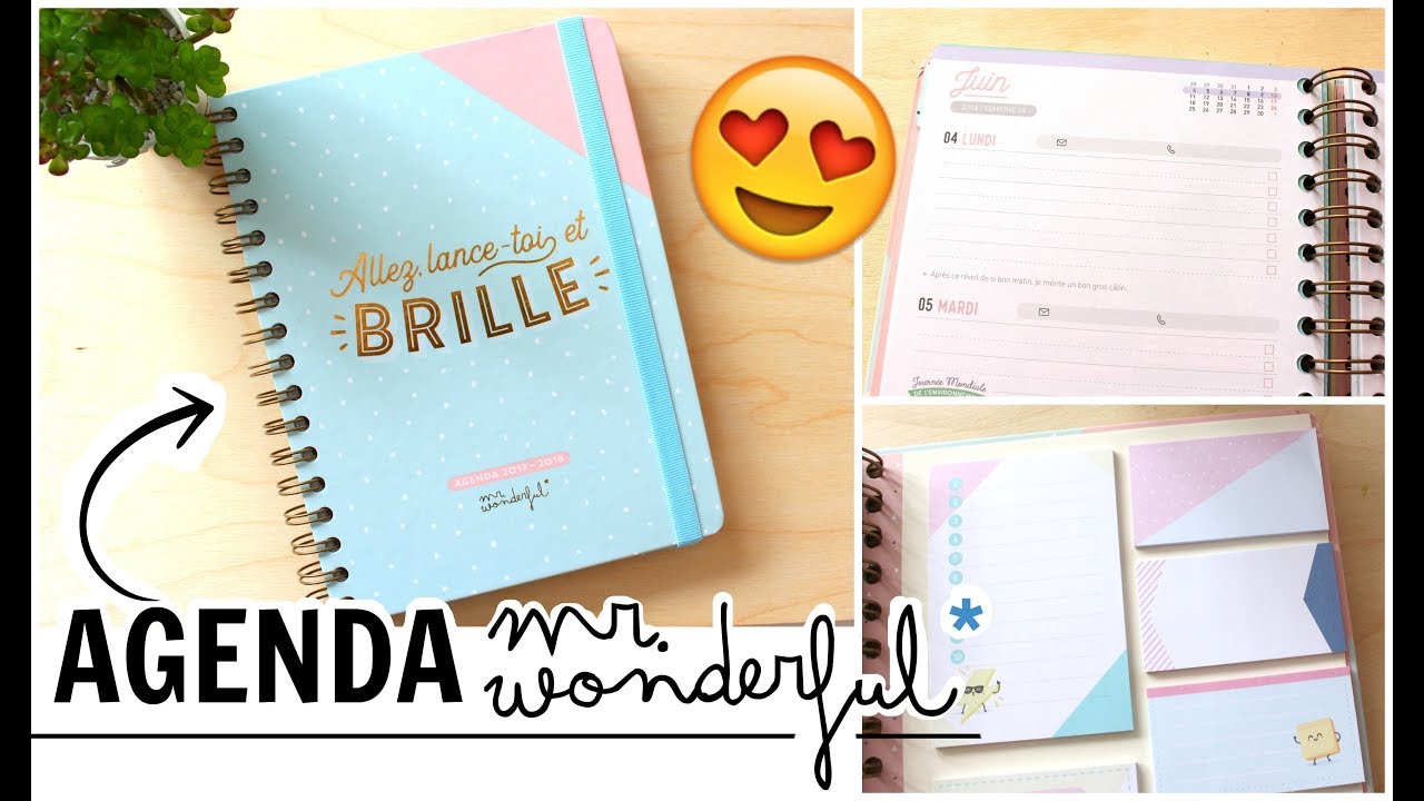 AGENDA Mr Wonderful - ORGANISATION AU TOP!