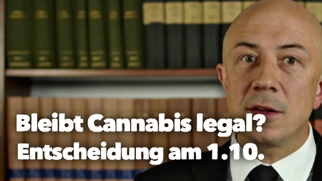 Legalisierung vor dem Aus? Was passiert am 1. Oktober?