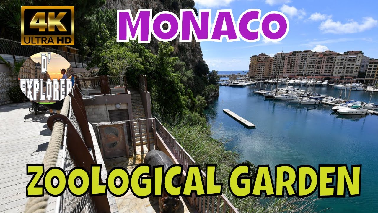 🇲🇨Exploring Monaco - Zoological Garden of Monaco (Jardin Animalier de Monaco)2020 【4K】