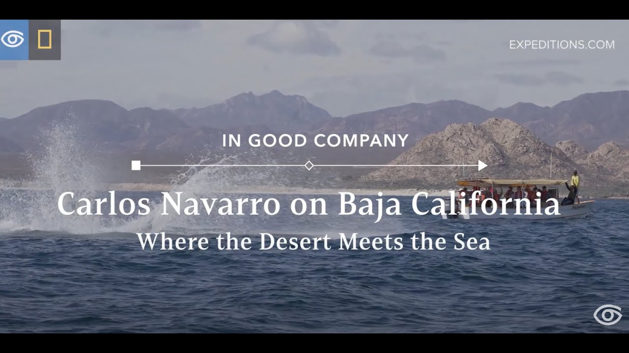 Exploring the Gulf of California | Baja California | Lindblad Expeditions