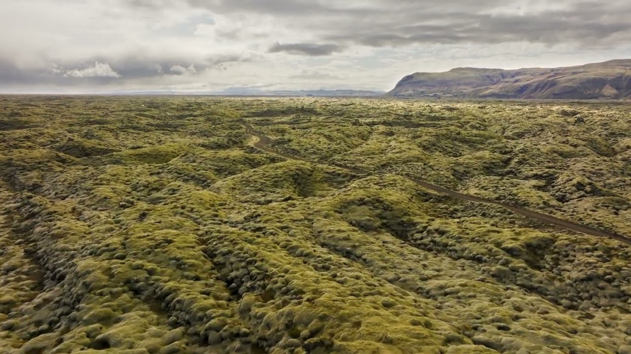 Iceland's Mossy Lava Fields // Drone 4k