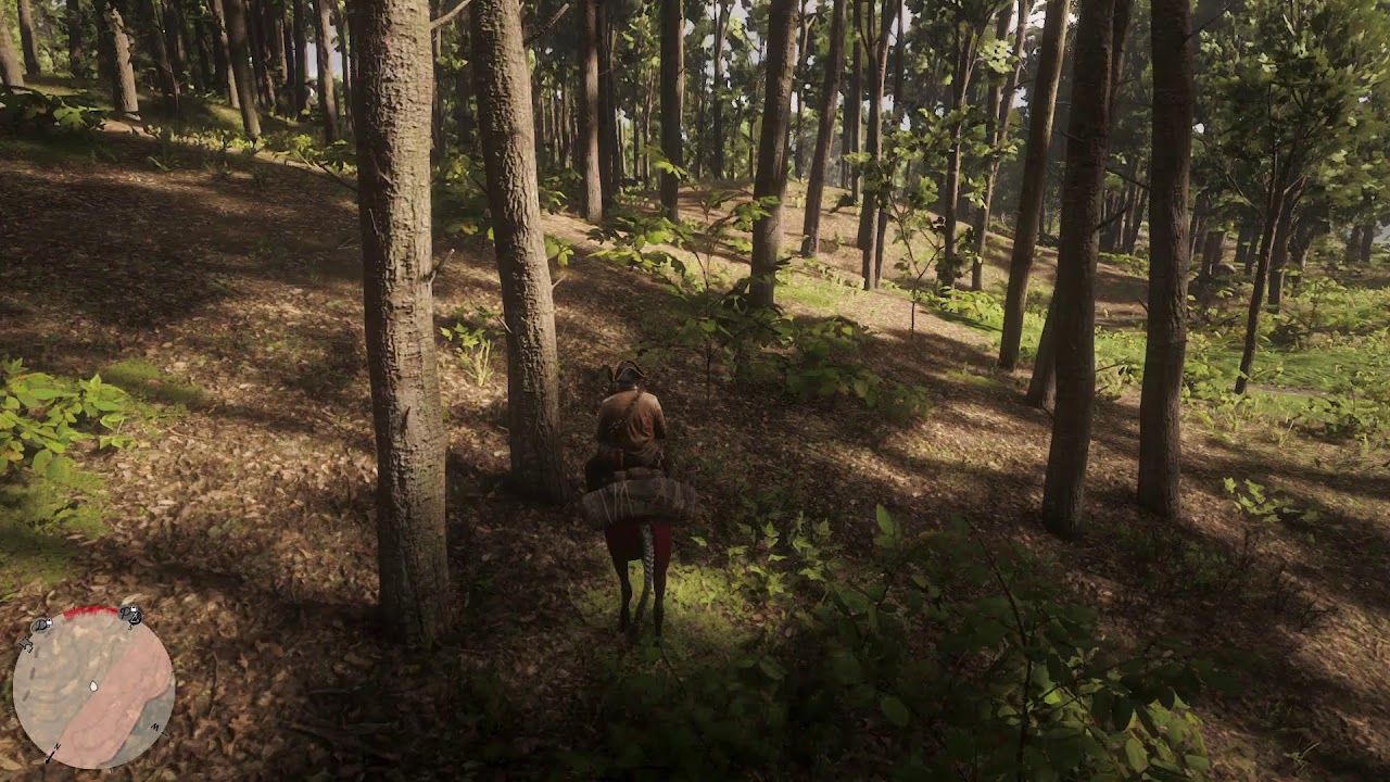 Red Dead 2 sem Bater as Botas !!!!!!!!!!!! 4 tentativa