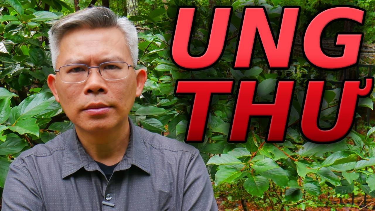 UNG THƯ: Giáo sư tiến sĩ Mỹ Thomas Seyfried nói gì về nguyên nhân, phòng ngừa và chữa trị?