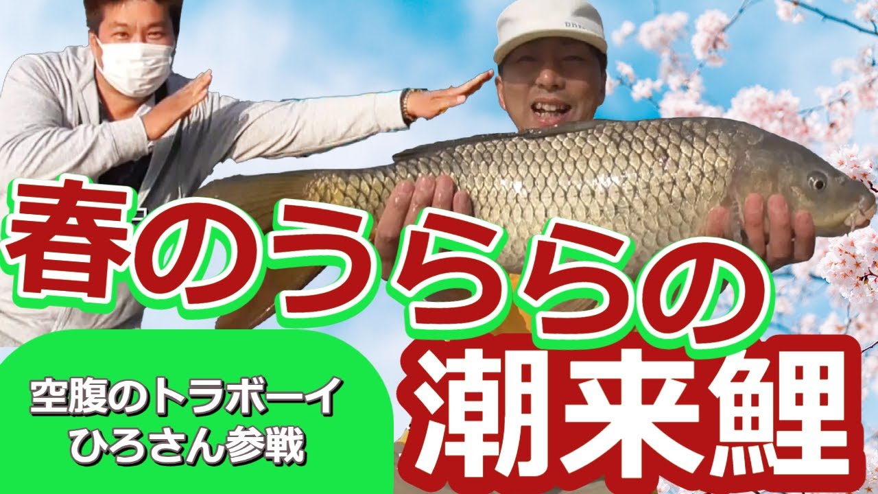 渡辺武のみんなでっ♥！鯉釣りしませんか？　～空腹のトラボーイひろさんと潮来ホテル前～