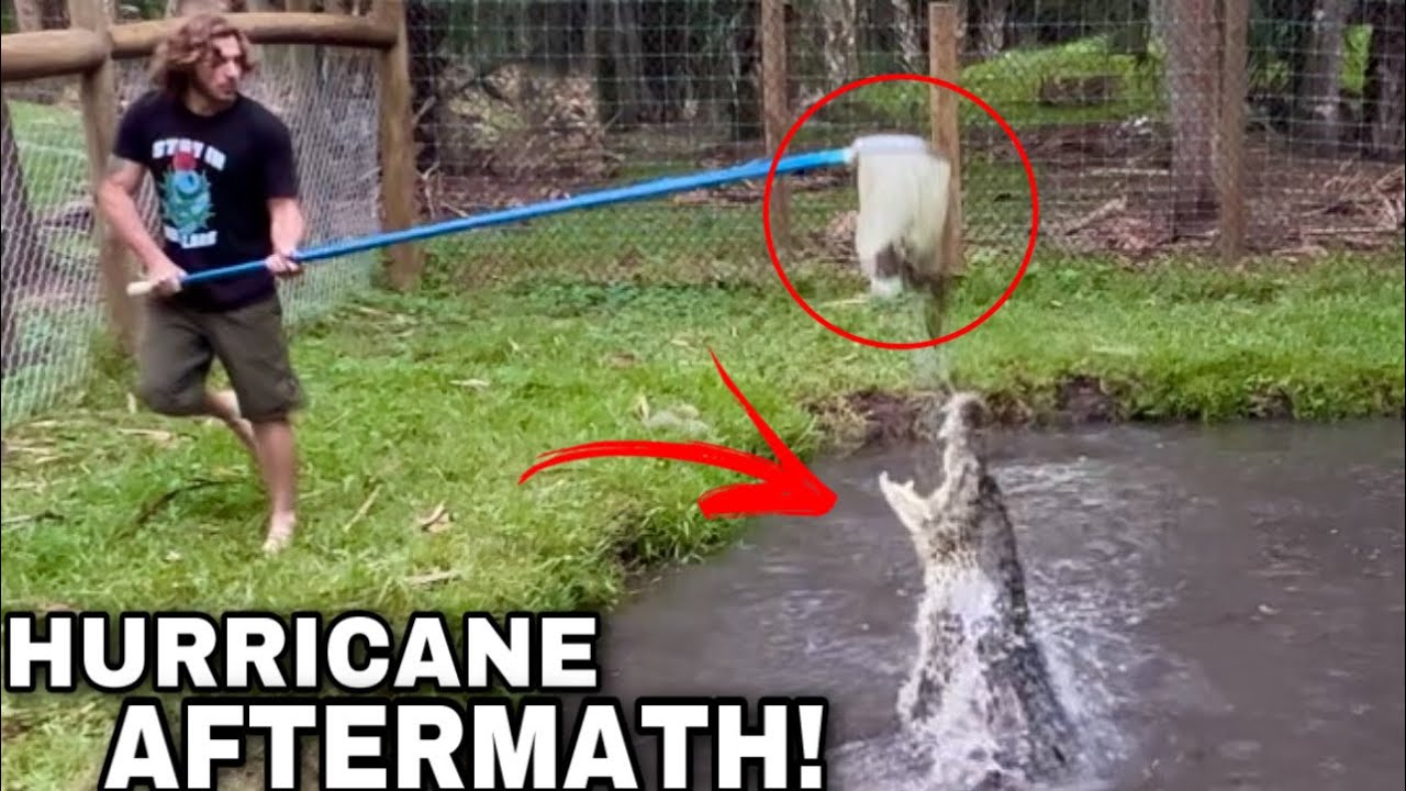 Hurricane Ian AFTERMATH!