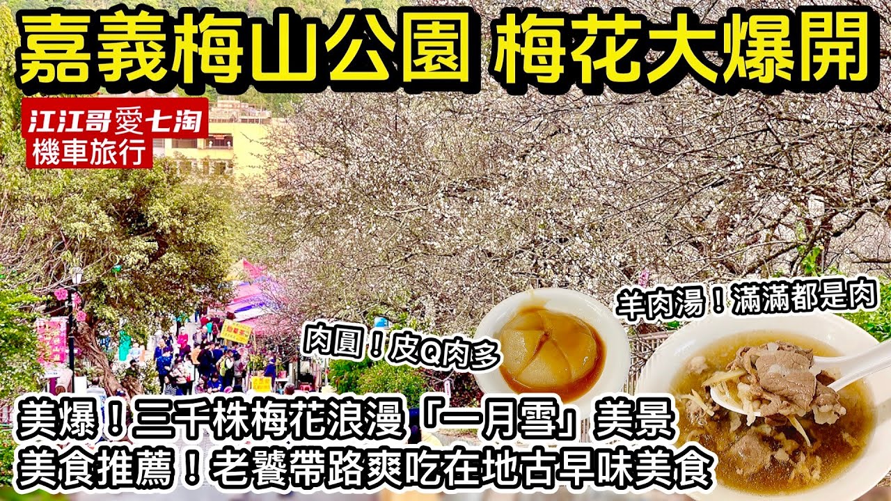 【江江哥愛七淘】機車旅行｜嘉義梅山公園梅花大爆開｜嘉義美食｜竹崎老店肉圓羊肉湯｜阿里山櫻花季 Taiwan travel🇹🇼Taiwan Street Food #環島 #機車環島 #嘉義景點