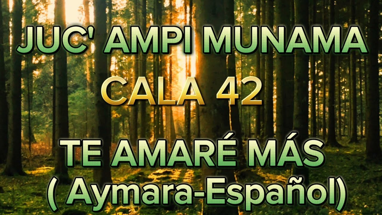 Cala 42 