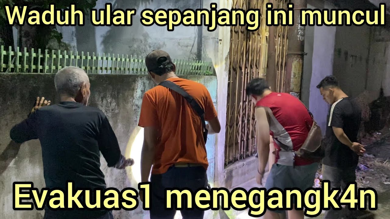 EVAKUAS1 TENGAH MALAM BUSET ULAR SEPANJANG INI ADA DI TENGAH KOTA PENANGK4PAN DI TEMPAT SEMPIT