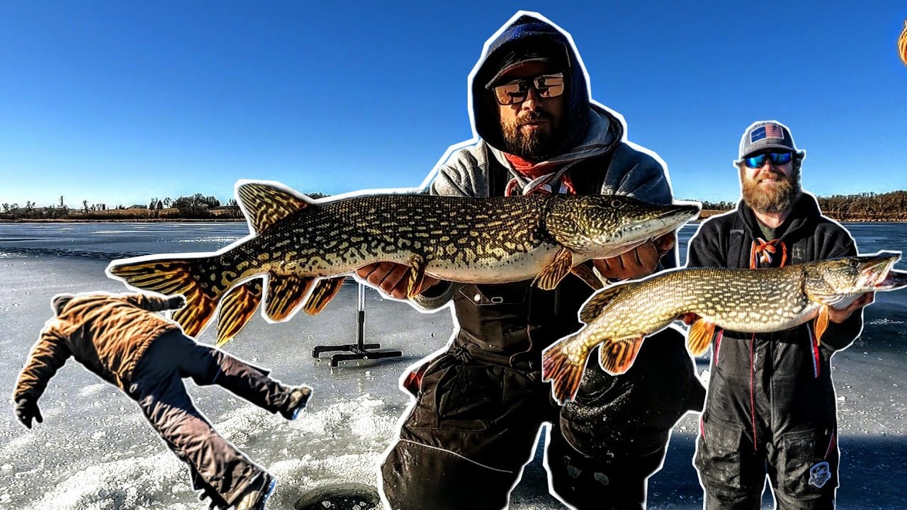 Chasing Deep Water Predator Fish!!