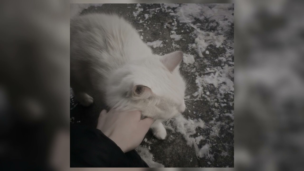 пошлая молли - любимая песня твоей сестры (speed up)