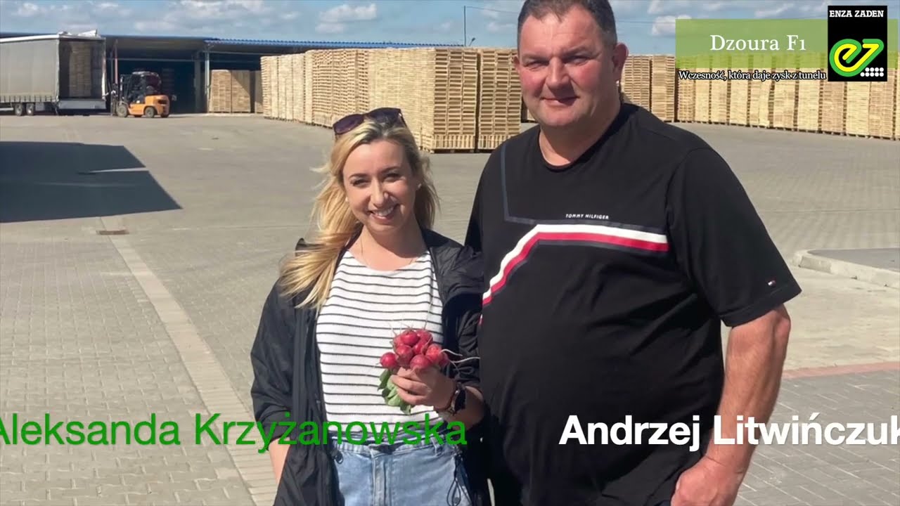 Enza Zaden: Dzoura F1 u Pana Andrzeja Litwińczuka z Polskiej Rzodkiewki