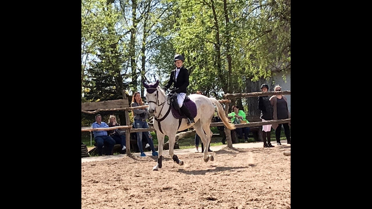 Despacito remix || EquestrianLTU