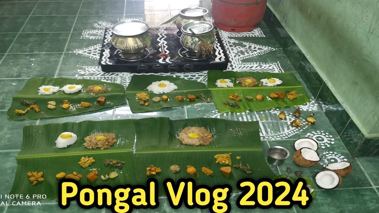 Chettinad Pongal celebration || எங்க வீட்டு பொங்கல் || Pongal vlog 2024 || @NagaratharAachisWorld
