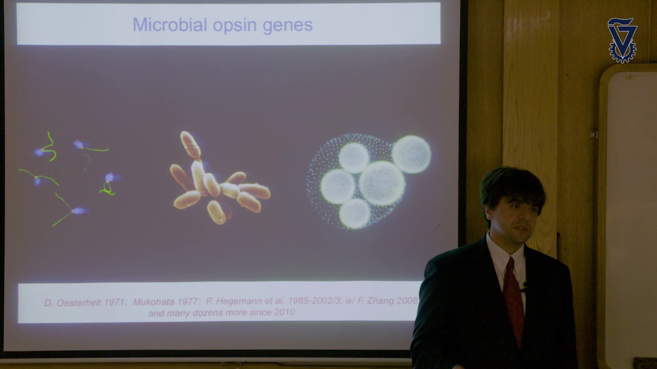 Building New Structures and Functions within Intact Biological Tissues Karl Deisseroth at Technion