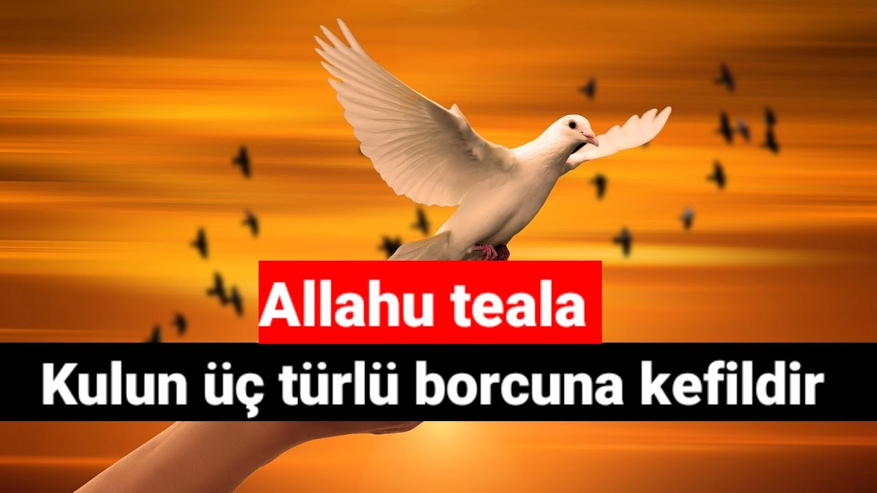 Allahu teala kulun üç türlü borcuna kefildir | Volkan aksoy