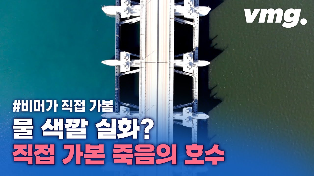 색 보정 1도 안 했어요...'죽음의 호수' 새만금에는 무슨 일이? 비머가 직접 가봄  / 비디오머그