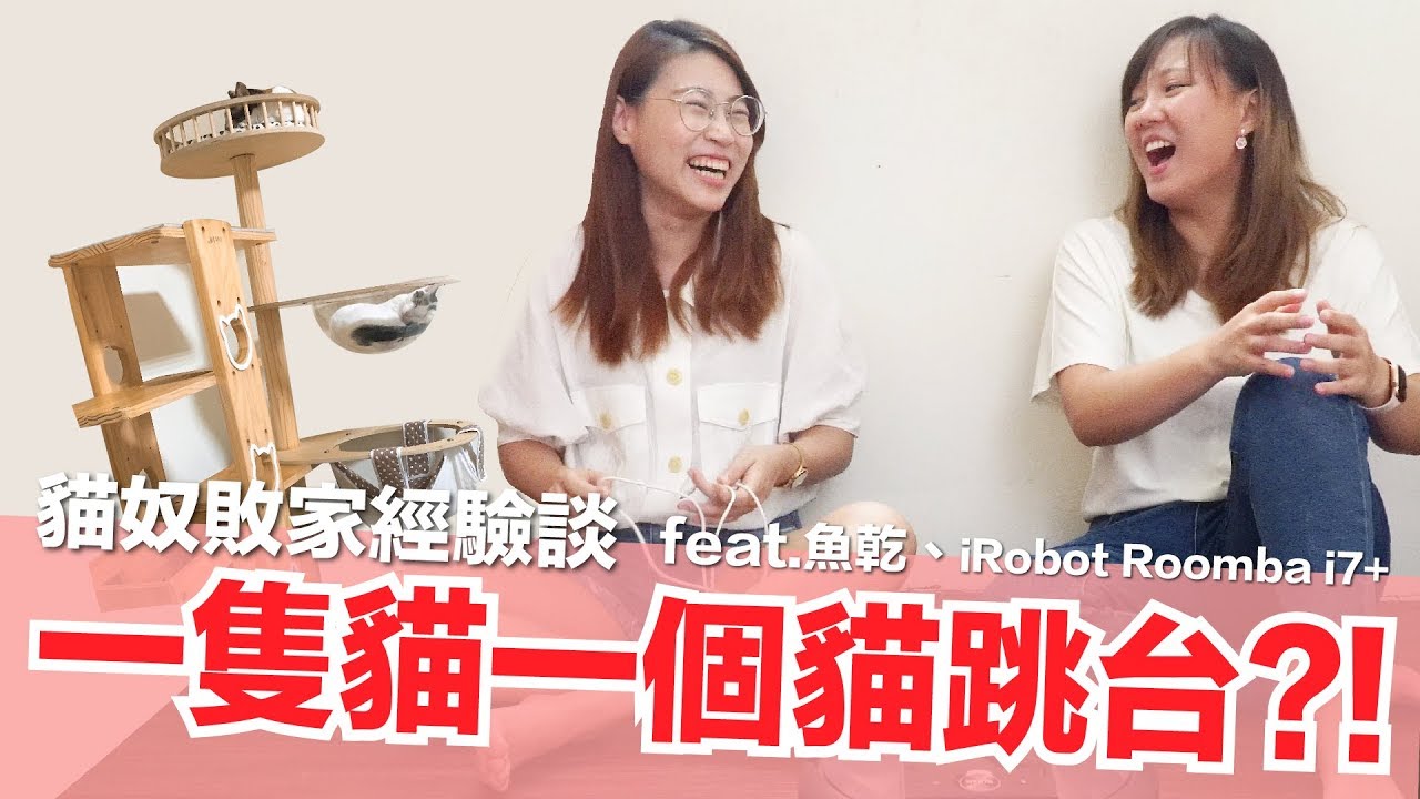 資深貓奴來教你，貓咪用品到底要怎麼買？！Feat. 魚乾【好味貓日常】EP56