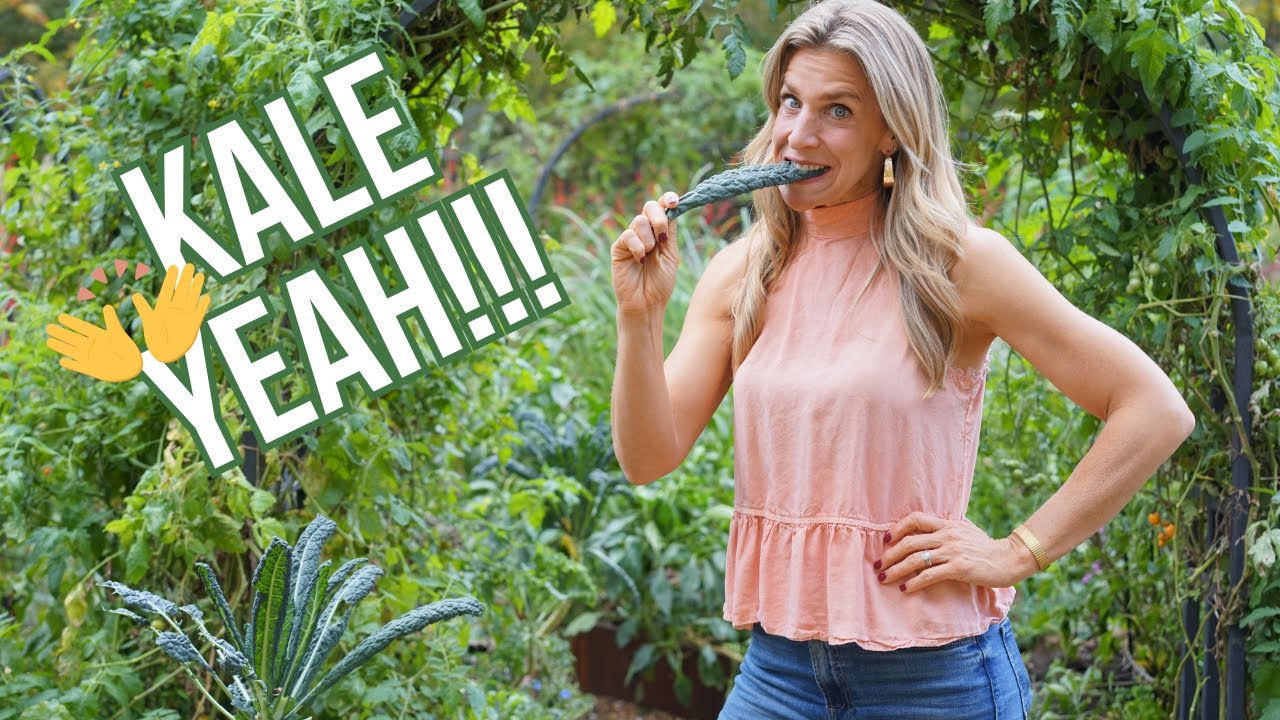 How to Grow a Year-Round Supply of Kale