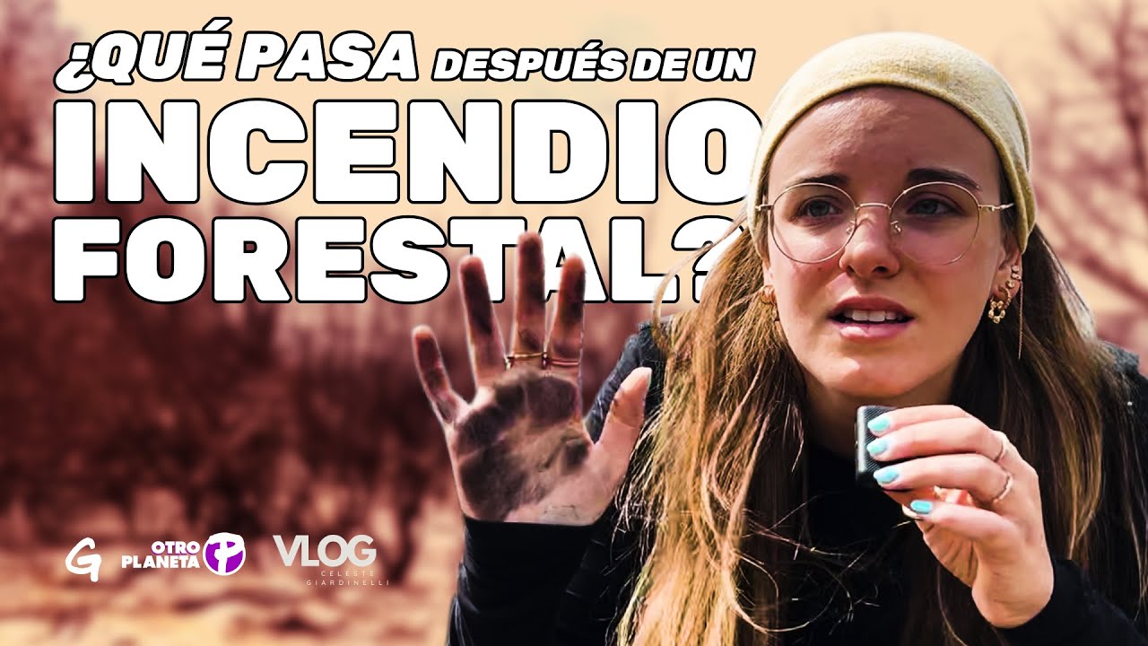 VLOG de Celes: ¿qué pasa después de un incendio forestal?