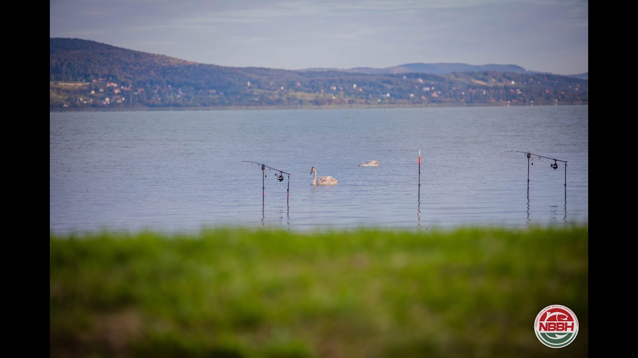 NBBH 2024. Összefoglaló 6. nap