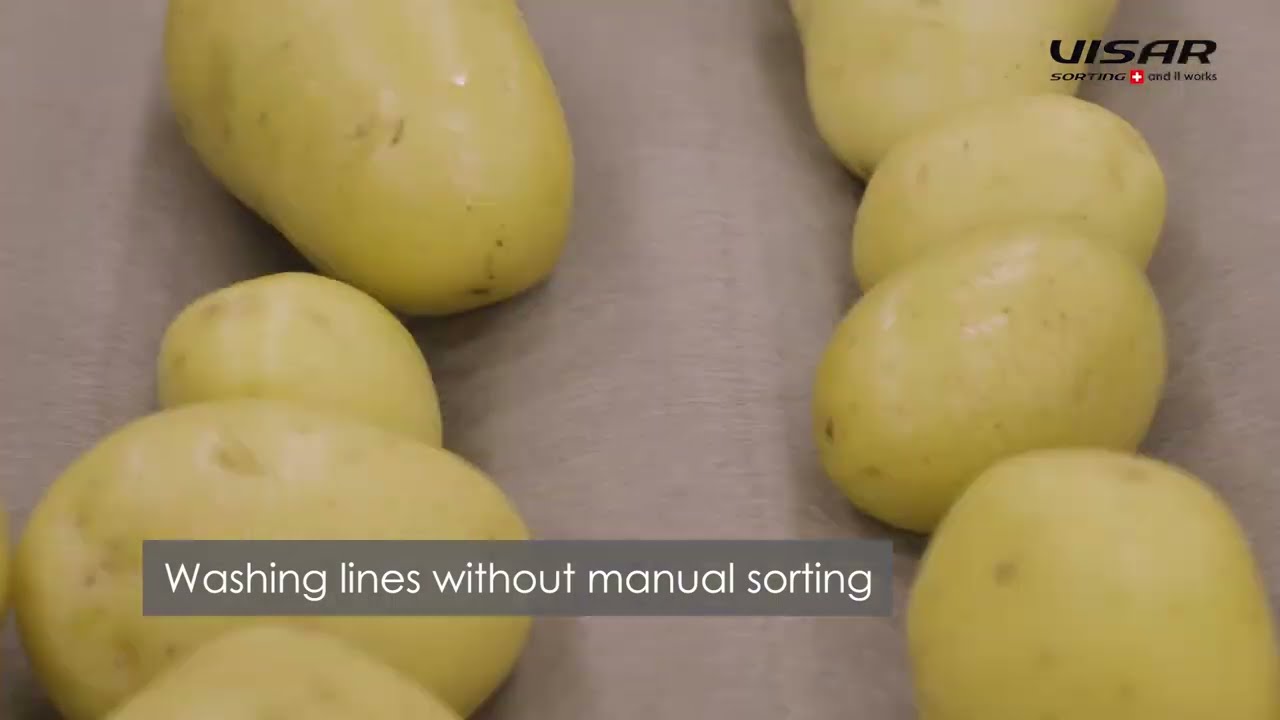 Sortop Potatoes : high-performance optical sorter