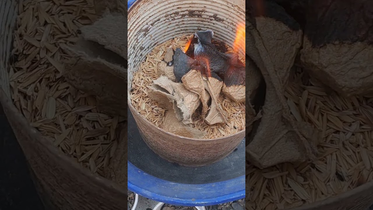 Carboniza CascarillaDeArroz como Profesional #cascarilla #cactus #plants #tips #sustrato 