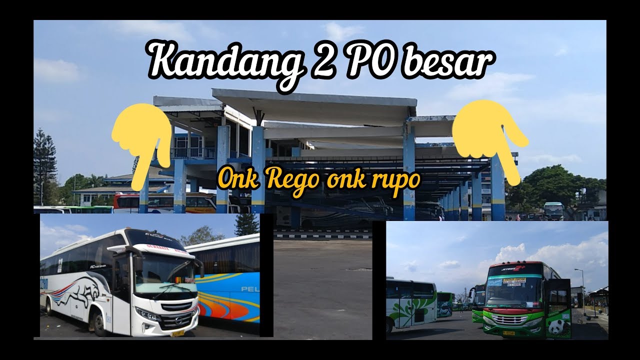 Bus Restu panda vs tentrem