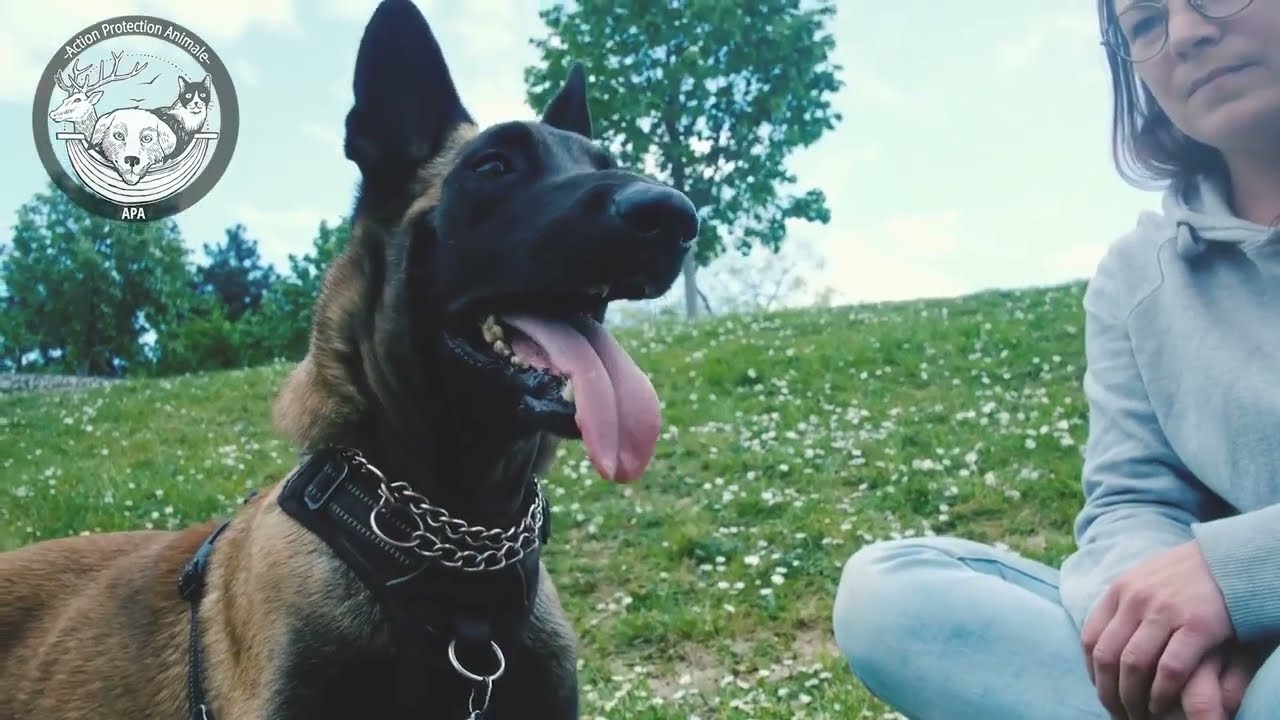 Owen, épisode #4