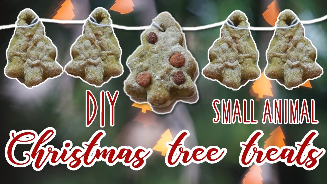 🎄 DIY CHRISTMAS TREE TREATS 🎄 For small animals 🐭