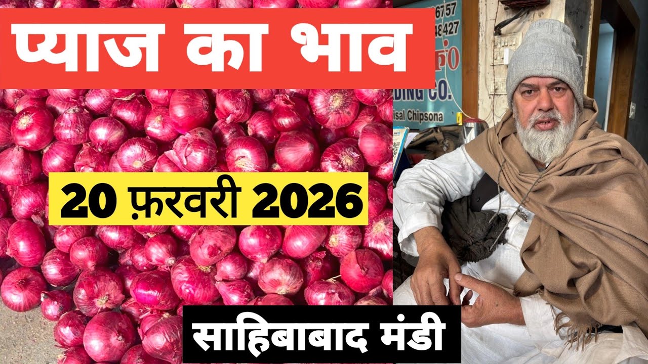 20 February 2026🧅 प्याज का भाव साहिबाबाद मंडी | today onion rates in sahibabad mandi Delhi NCR 