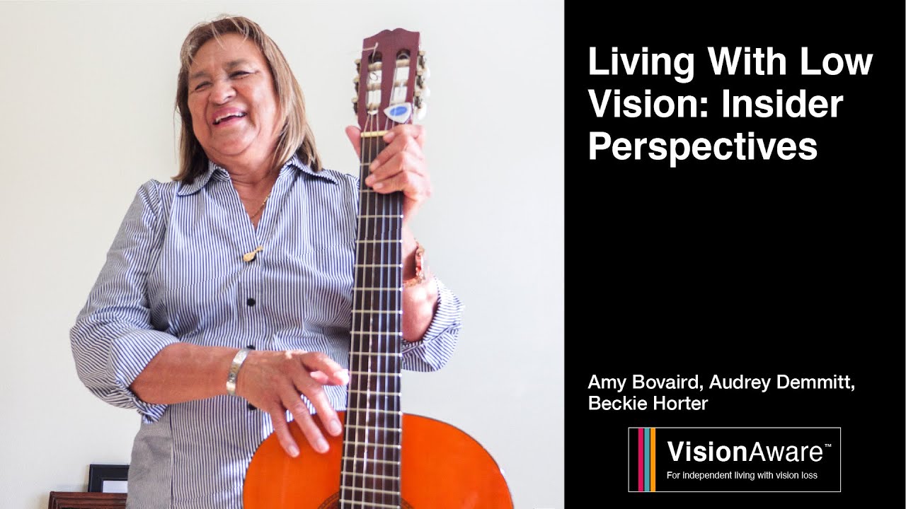 Living with Low Vision: Insider Perspectives