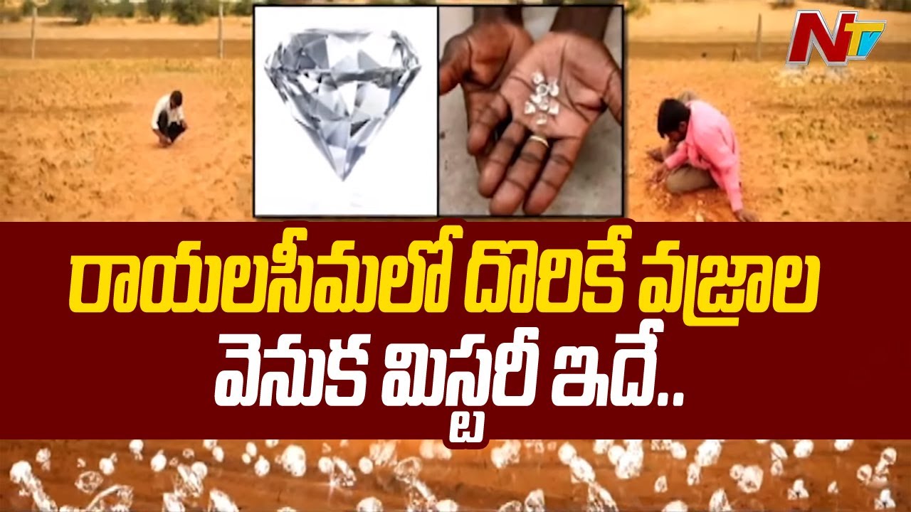 Real And Interesting Facts Behind Diamonds in Kurnool | Diamond Hunting In  Rayalaseema | Ntv