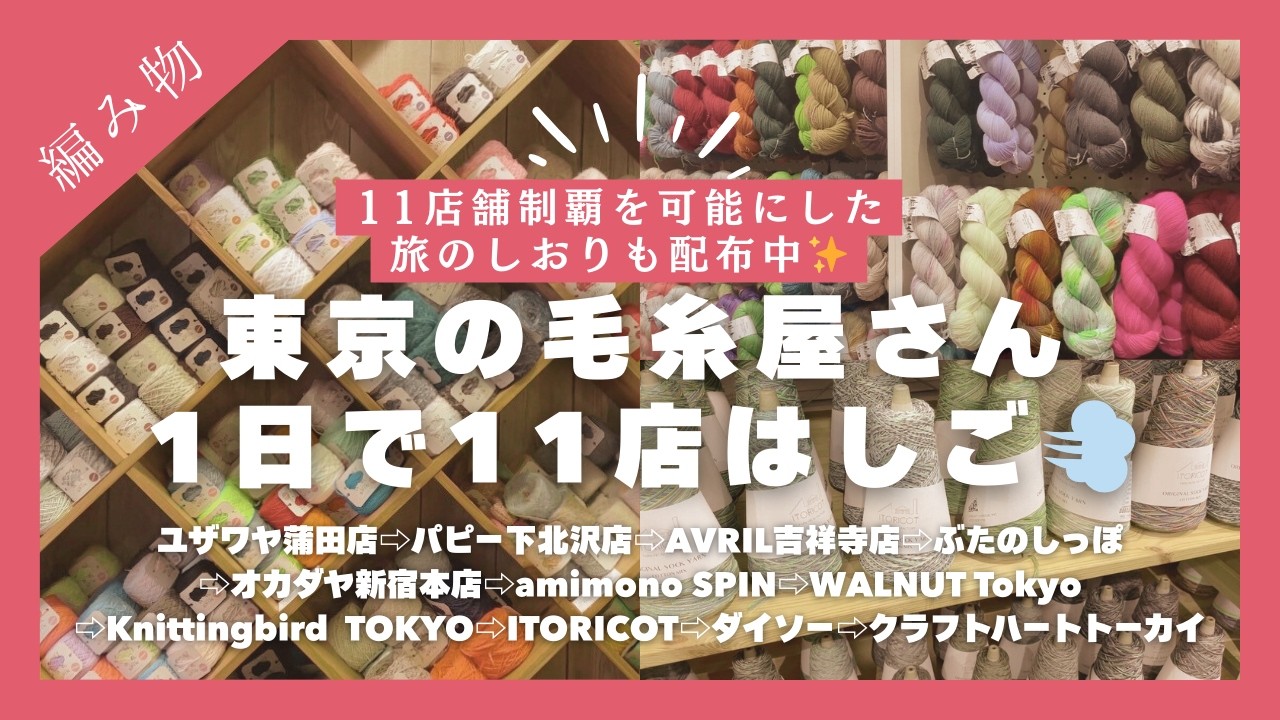 【凄技】東京の毛糸屋さん、1日で何店舗回れる！？｜東京毛糸屋さん巡り #編み物 #vlog