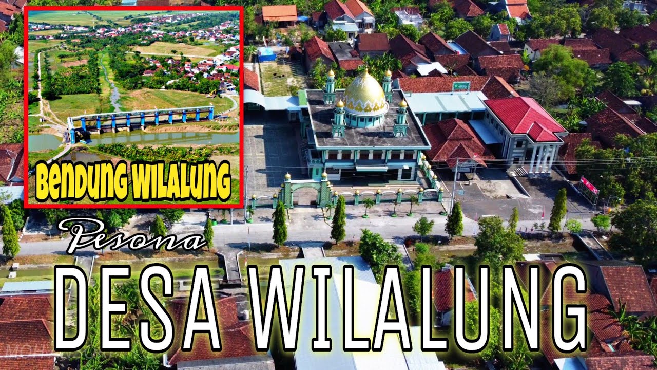 INDAHNYA DESA WILALUNG DARI UDARA - BENDUNG WILALUNG || Drone view