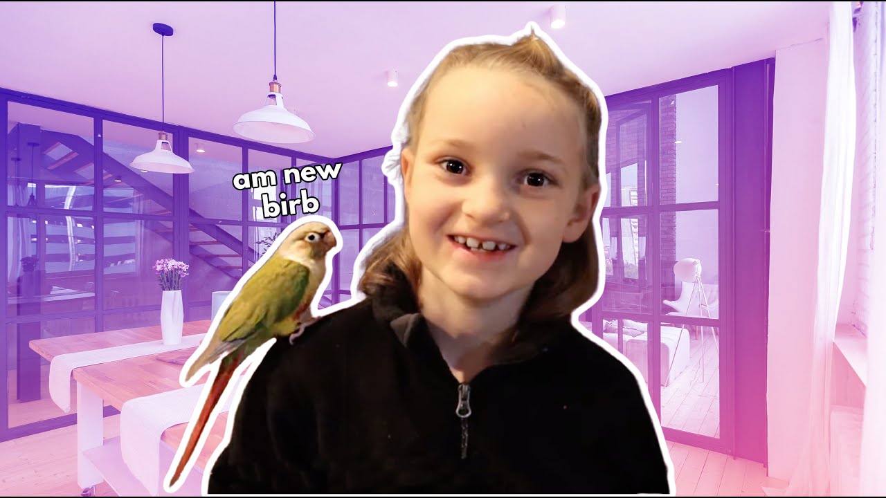 DAY 1 With Olivia The Pineapple Conure