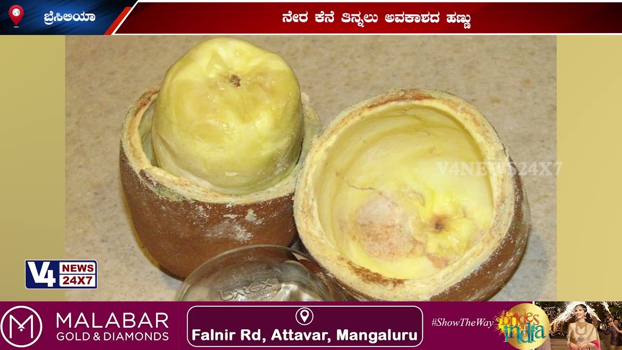 ಬಹುರೂಪಿ ಹಣ್ಣಿನ ಬಹುಹಣ್ಣುಗಳ ಏಕರುಚಿ;ನೇರ ಕೆನೆ ತಿನ್ನಲು ಅವಕಾಶದ ಹಣ್ಣು