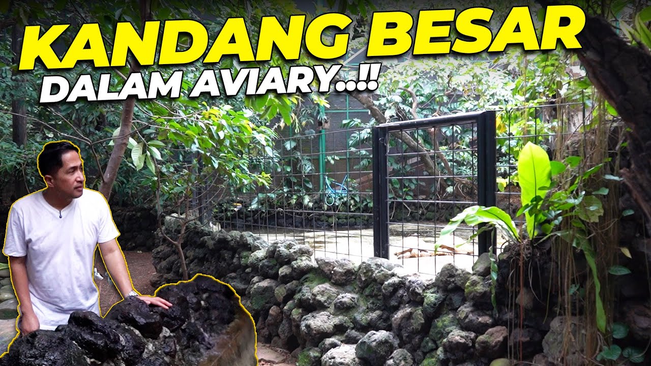 BIKIN KANDANG GEDE DALAM AVIARY...?! BUAT SIAPA YAA..??