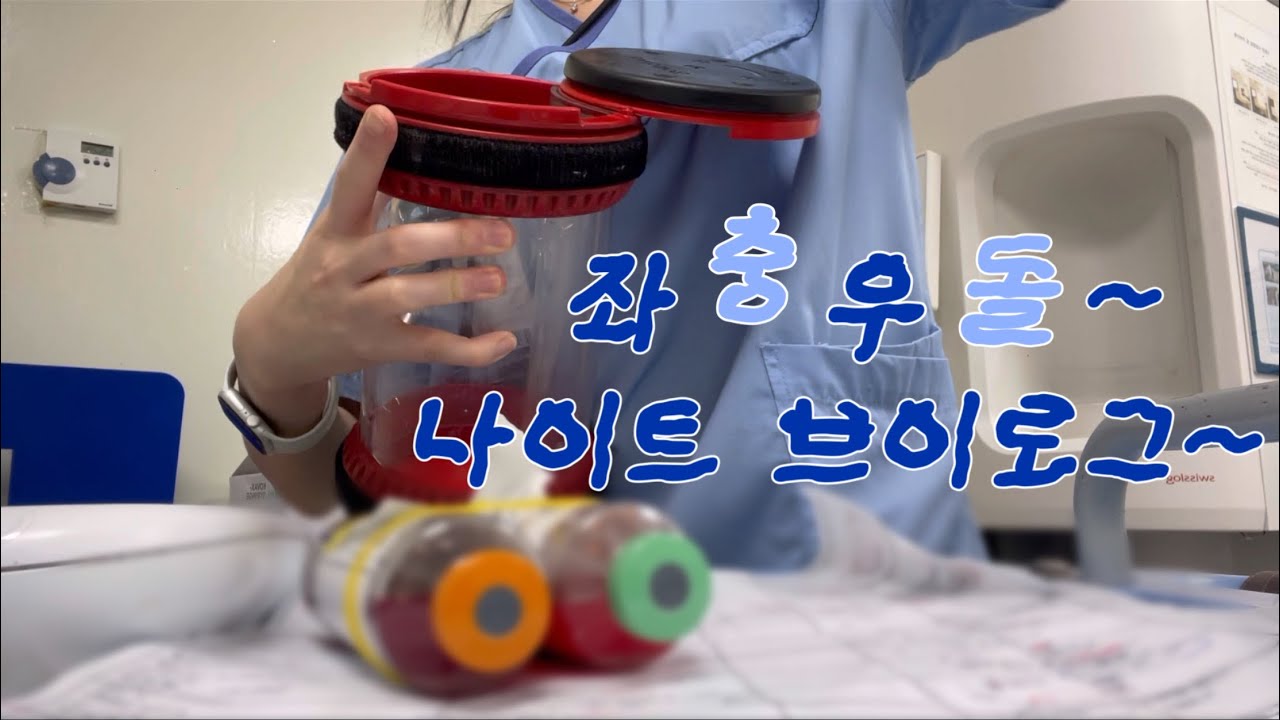 [Vlog] 대학병원 간호사의 나이트 루틴 🌝  (Feat. 간호직 공무원 합격 인터뷰 ssul , 용산 맛집 추천 ) 