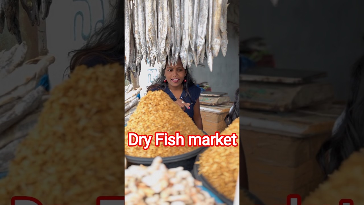 Dry Fish market | Chirala #shortsfeed #seefood #dryfishmarket #fishing @FOODVAATHI #dryfish #shorts