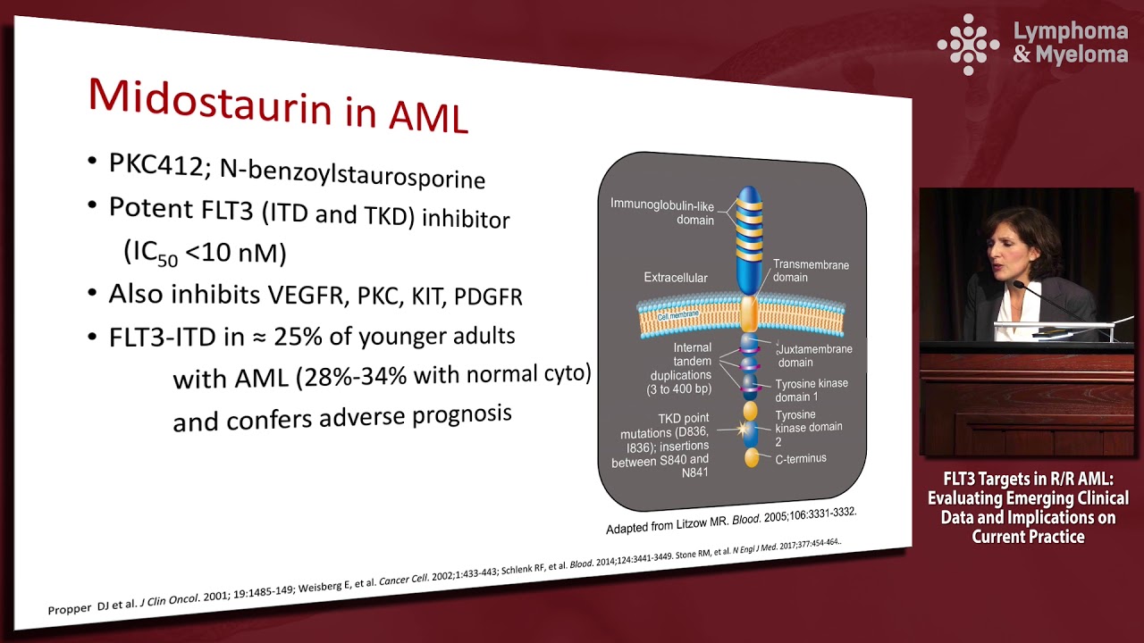 Newly diagnosed AML: Hitting the right target