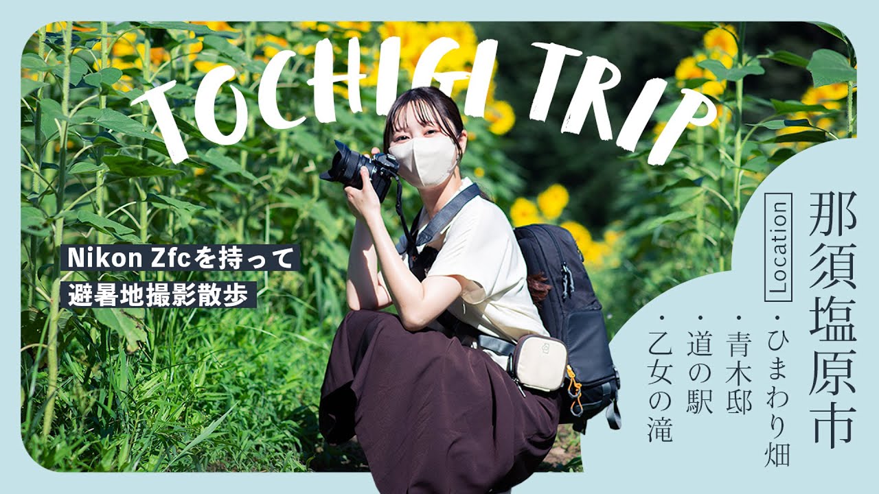 【作例紹介】Nikon Zfcを持って満開のひまわり畑を撮影（那須塩原市Vlog）