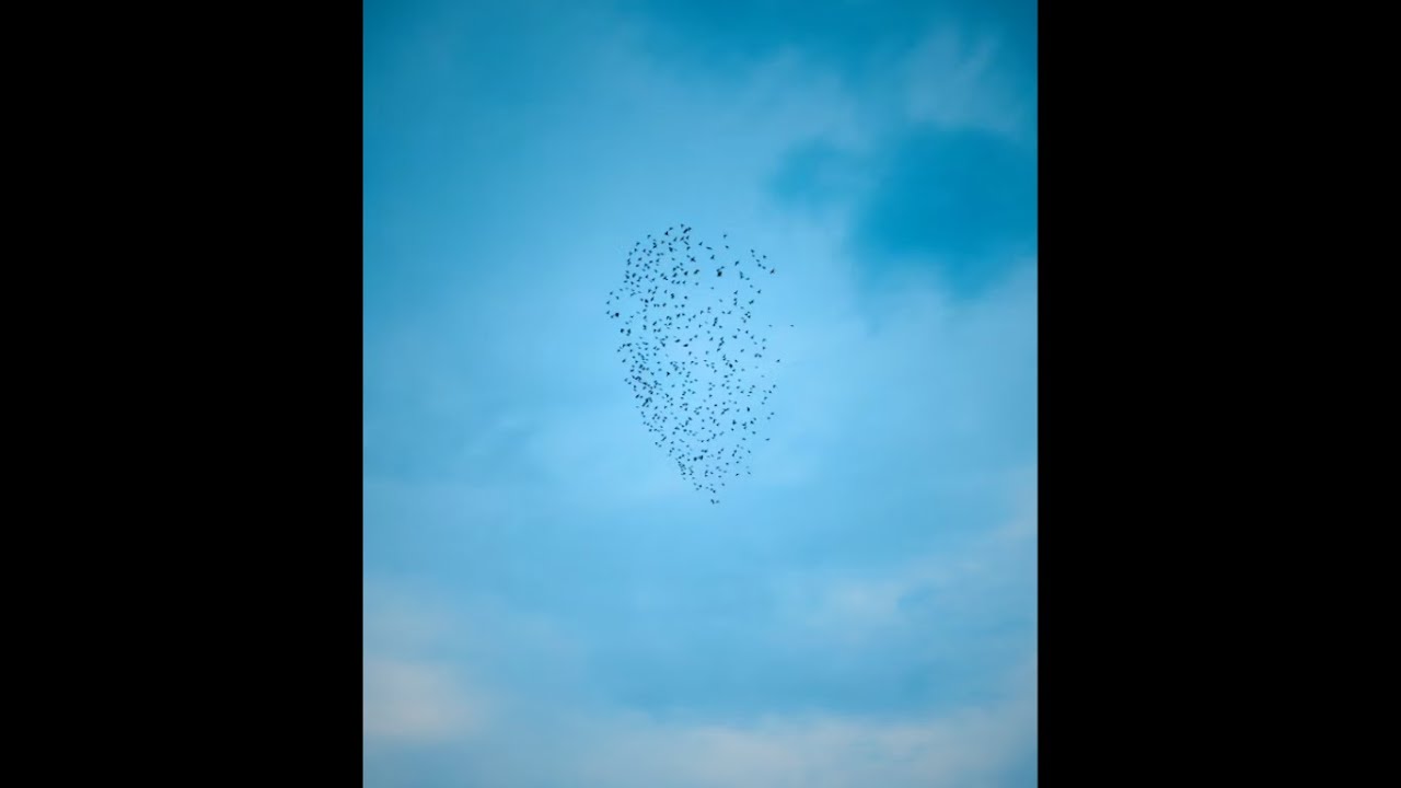 [FREE] Acoustic Guitar Type Beat 