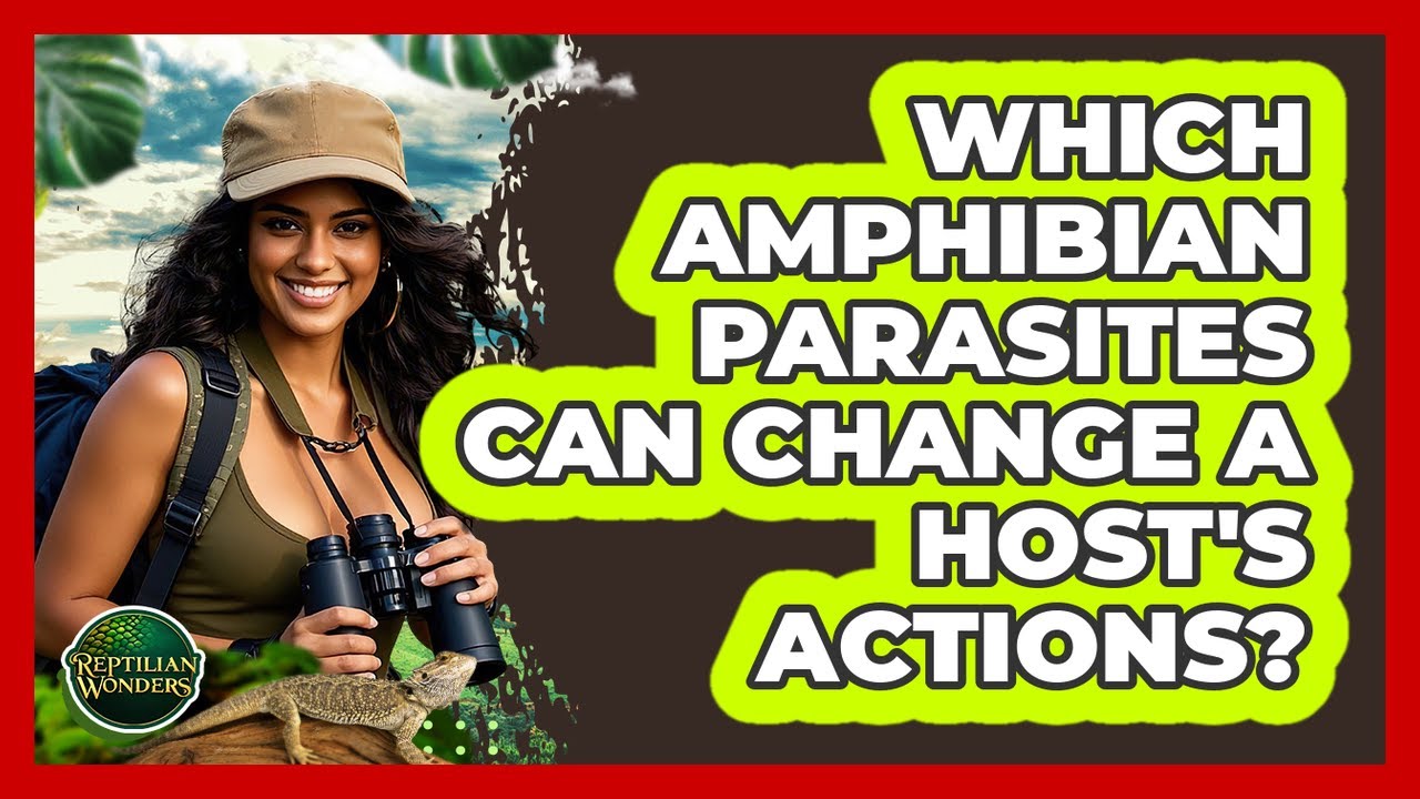 Which Amphibian Parasites Can Change A Host's Actions? - Reptilian Wonders