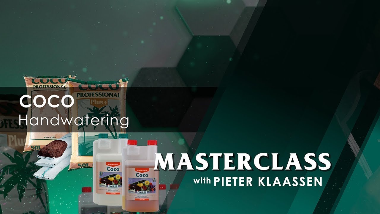 Masterclass &ndash; COCO Handwatering