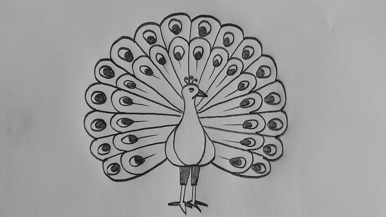 Peacock drawing easy🦚😍| How to draw a beautiful Peacock easy | Mor drawing easy #peacock🦚🦚🦚🦚🦚