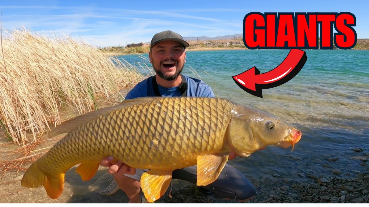 This is NOT what I was expecting! - Fishing Lake Havasu